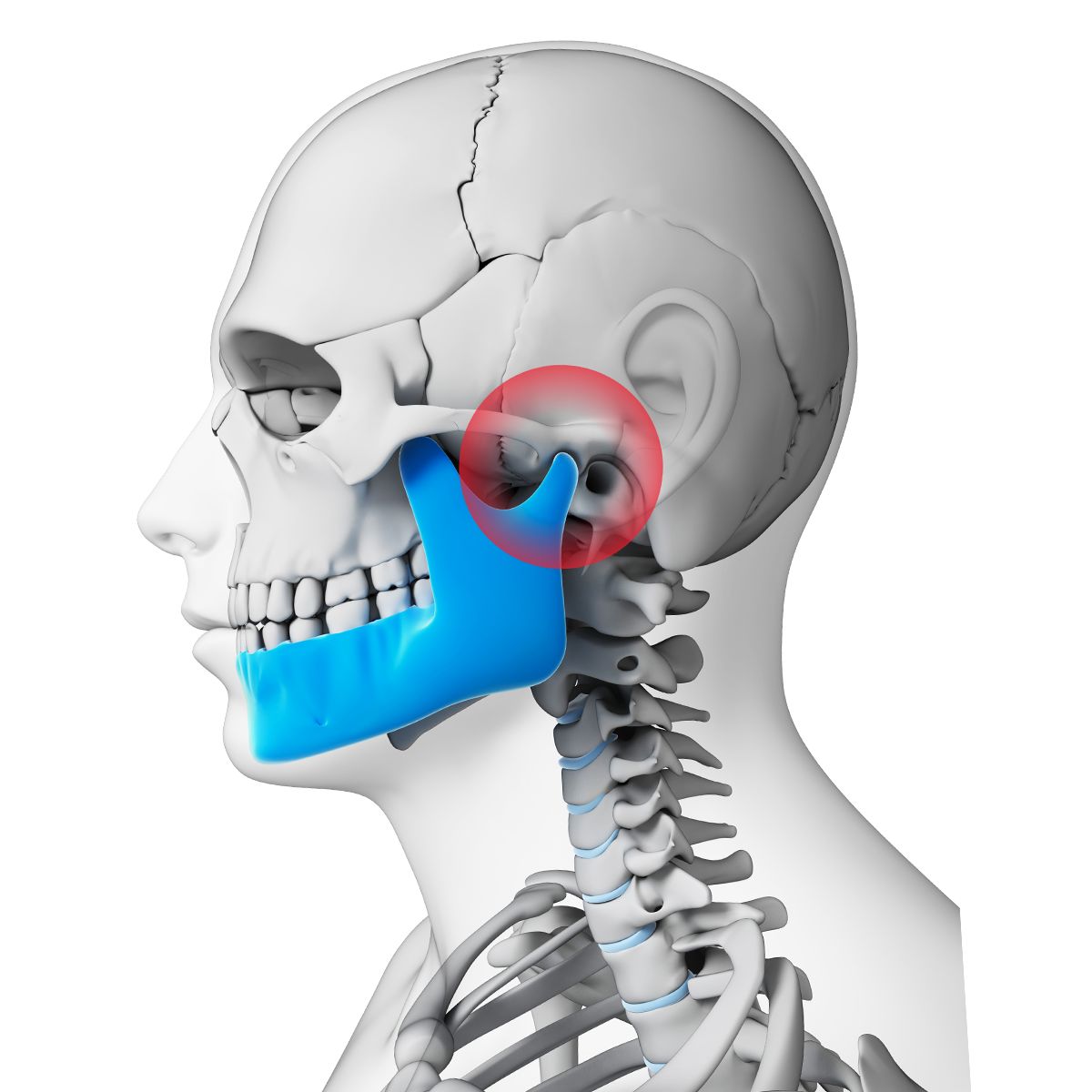 tmj joint(temporal-mandibular joint)